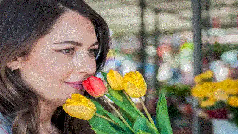 Tulip Victoria Khaury Net Worth: A Complete Financial Breakdown