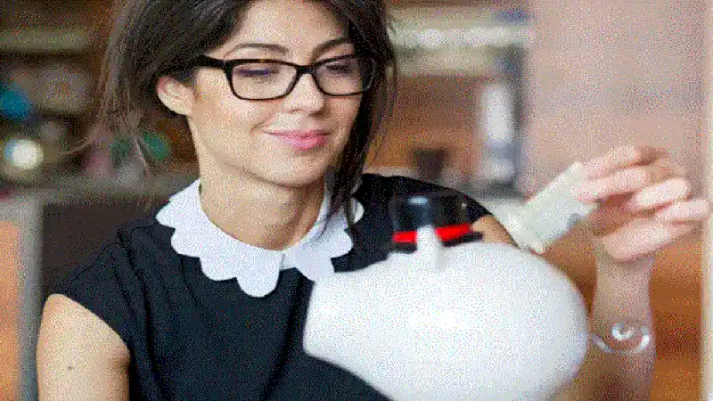 Fred van der Weij Net Worth: How the Air Fryer Inventor Built His Wealth